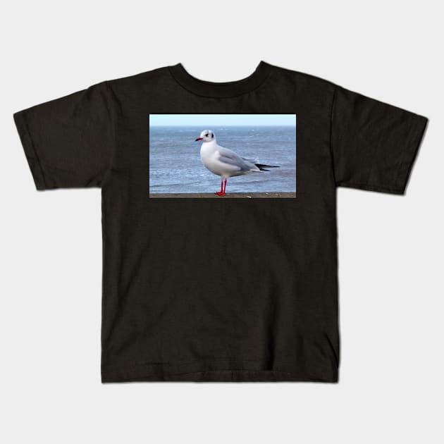 beach seagull seaside traveller bird sea gull ocean scene Kids T-Shirt by jacquline8689